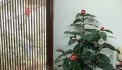 Cho thuê Mặt ngõ kinh doanh Phố Hai Bà Trưng (gần Hàng Bài) Nhà hàng ăn, Cà phê, Spa